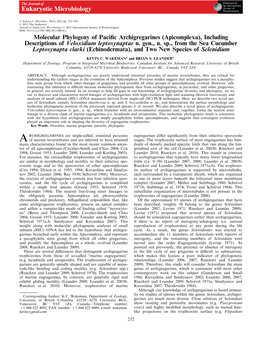 MOLECULAR PHYLOGENY of PACIFIC ARCHIGREGARINES 233 Spp.) (Gunderson and Small 1986; Hoshide and Todd 1996; Scanning Electron Microscopy