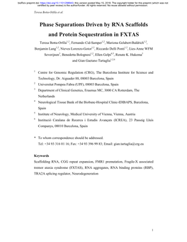 Phase Separations Driven by RNA Scaffolds and Protein Sequestration in FXTAS