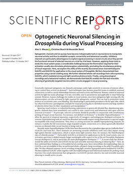 Optogenetic Neuronal Silencing in Drosophila During Visual Processing Alex S