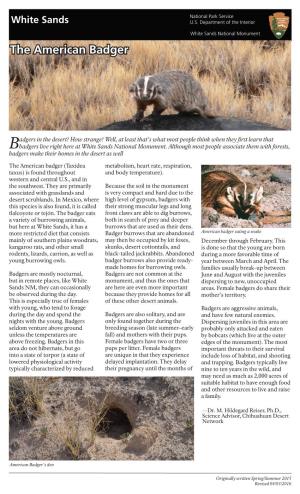 The American Badger