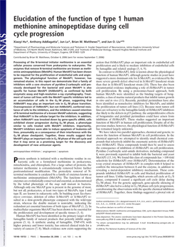 Elucidation of the Function of Type 1 Human Methionine Aminopeptidase During Cell Cycle Progression