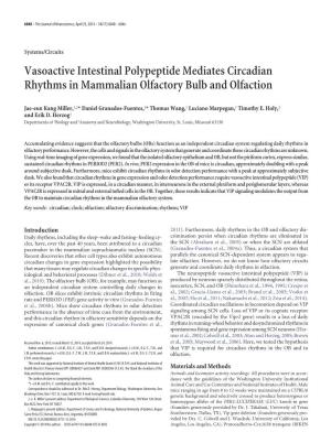 Vasoactive Intestinal Polypeptide Mediates Circadian Rhythms in Mammalian Olfactory Bulb and Olfaction
