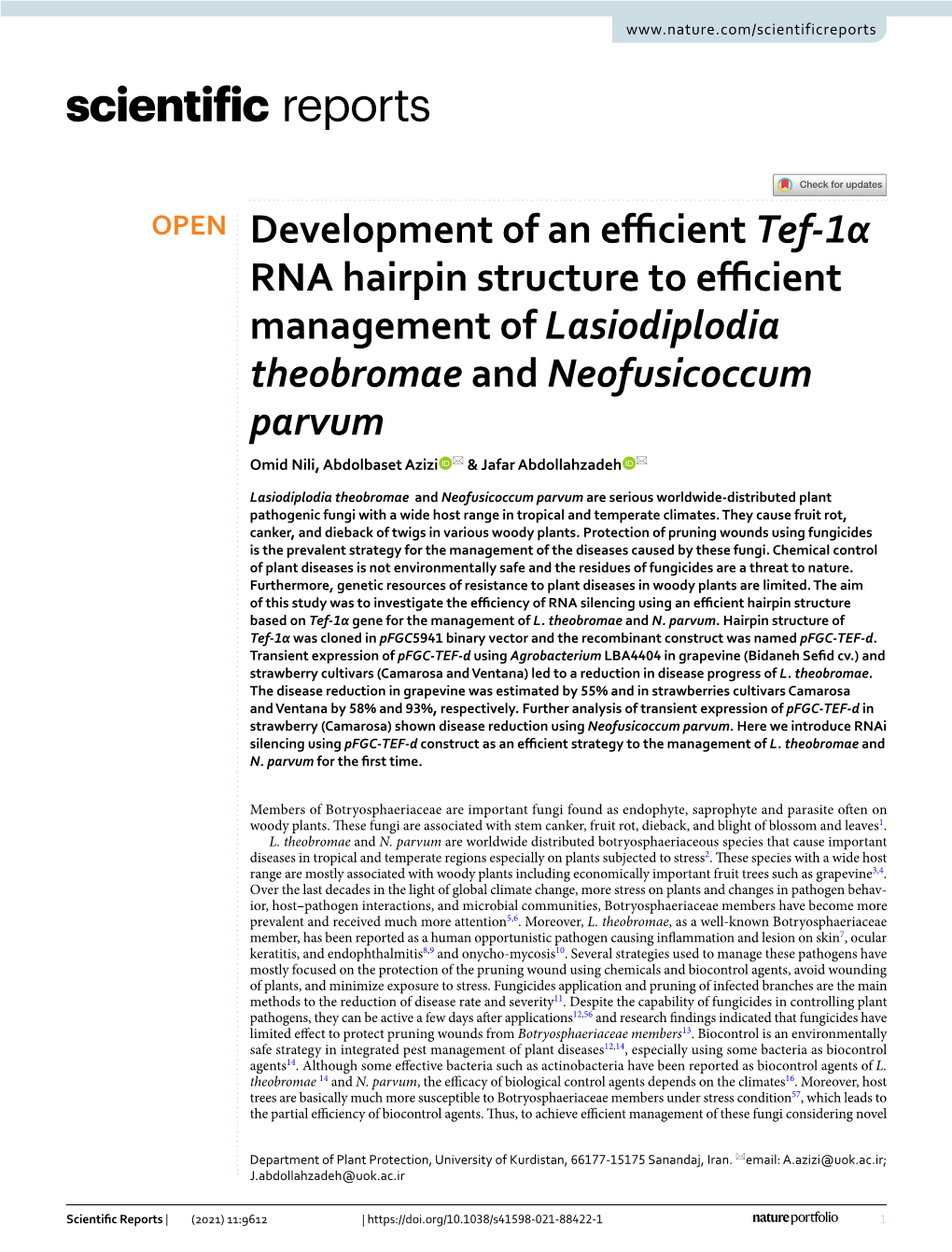 Development of an Efficient Tef-1Α RNA Hairpin Structure to Efficient