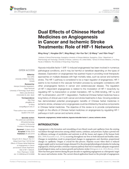Dual Effects of Chinese Herbal Medicines on Angiogenesis in Cancer and Ischemic Stroke Treatments: Role of HIF-1 Network