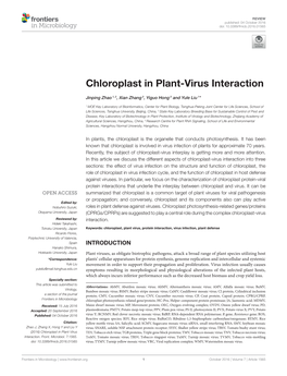 Chloroplast in Plant-Virus Interaction