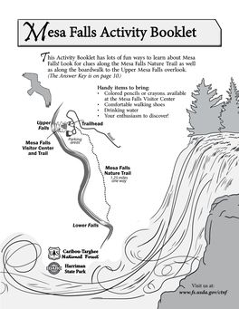 Mesa Falls Activity Booklet