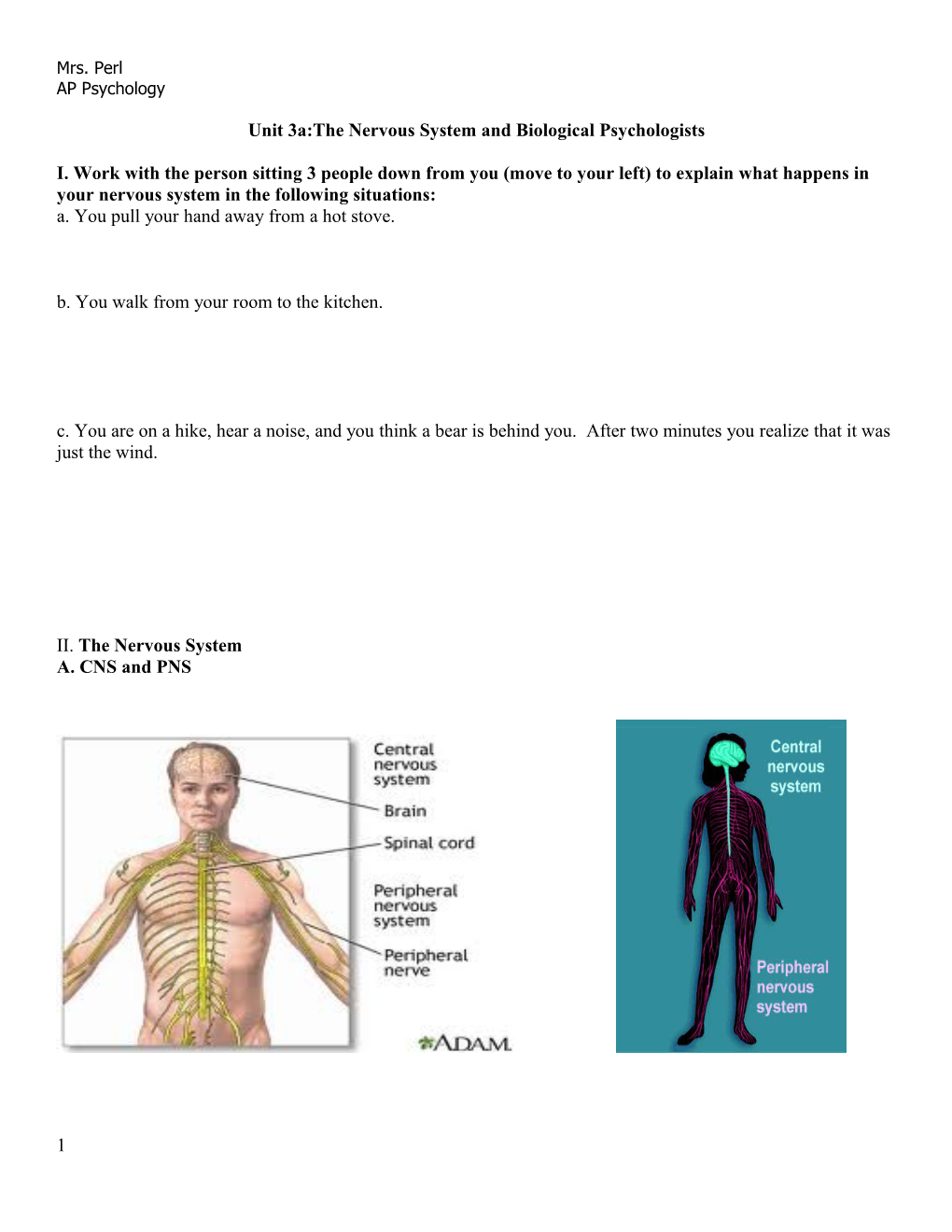 Unit 3A:The Nervous System and Biological Psychologists