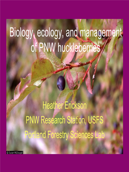 Biology, Ecology, and Management of PNW Huckleberries