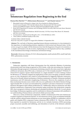 Telomerase Regulation from Beginning to the End