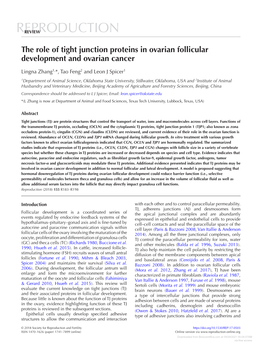 The Role of Tight Junction Proteins in Ovarian Follicular Development and Ovarian Cancer