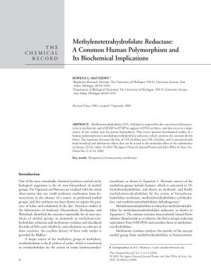 Methylenetetrahydrofolate Reductase: a Common Human Polymorphism and Its Biochemical Implications