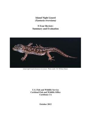 Island Night Lizard (Xantusia Riversiana)
