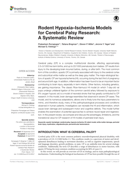 Rodent Hypoxia–Ischemia Models for Cerebral Palsy Research: a Systematic Review