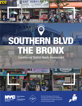 SOUTHERN BLVD the BRONX Commercial District Needs Assessment