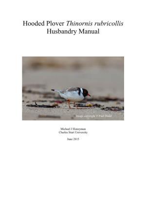 Hooded Plover Thinornis Rubricollis Husbandry Manual