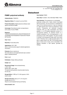 PSMB1 Polyclonal Antibody Gene Symbol: PSMB1