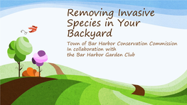 Removing Invasive Species in Your Backyard Town of Bar Harbor Conservation Commission in Collaboration with the Bar Harbor Garden Club