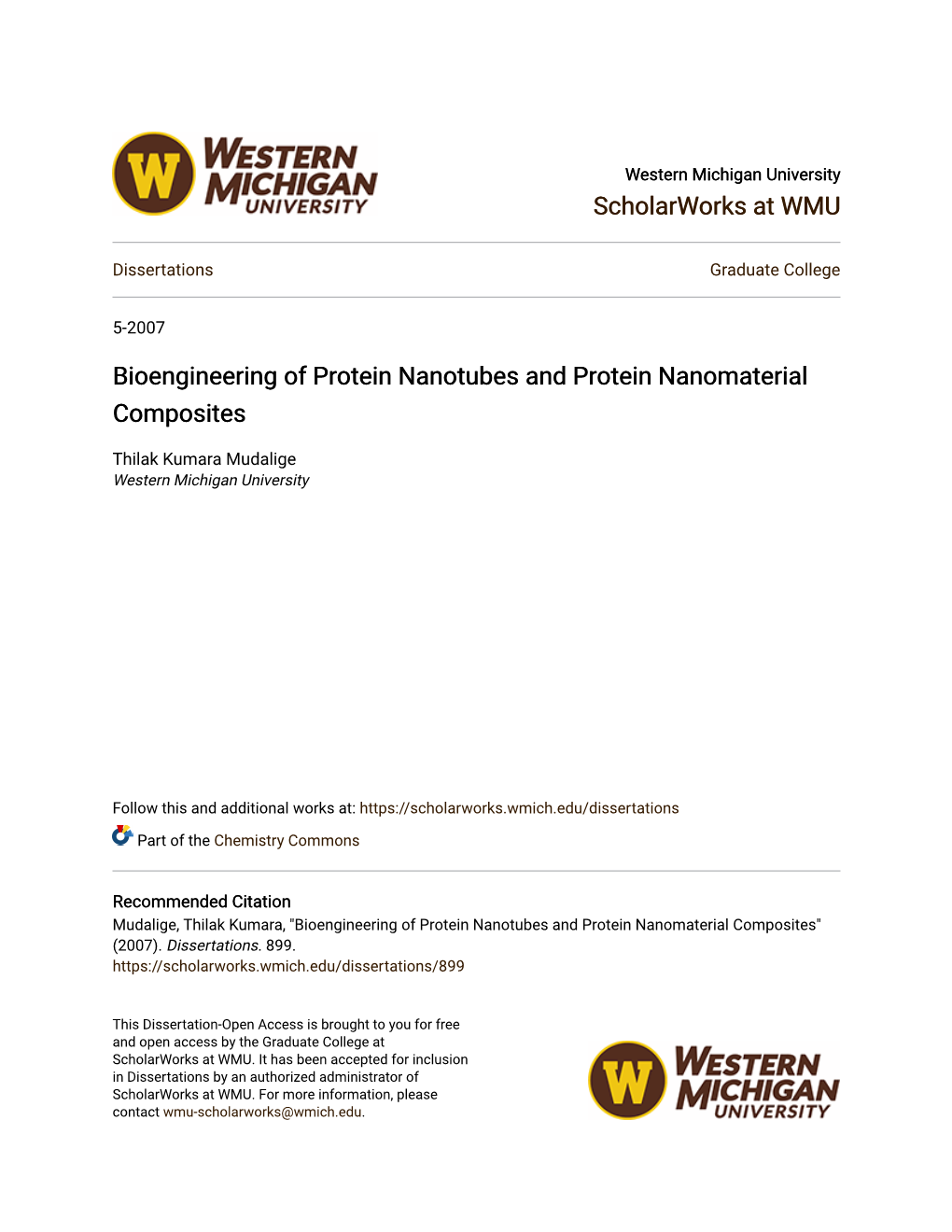 Bioengineering of Protein Nanotubes and Protein Nanomaterial Composites