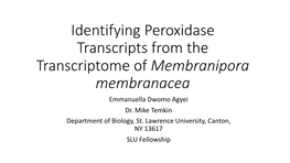 Identifying Peroxidase Transcripts from the Transcriptome of Membranipora Membranacea Emmanuella Dwomo Agyei Dr