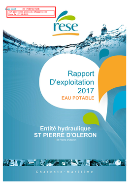 RESE Rapport D'exploitation 2017