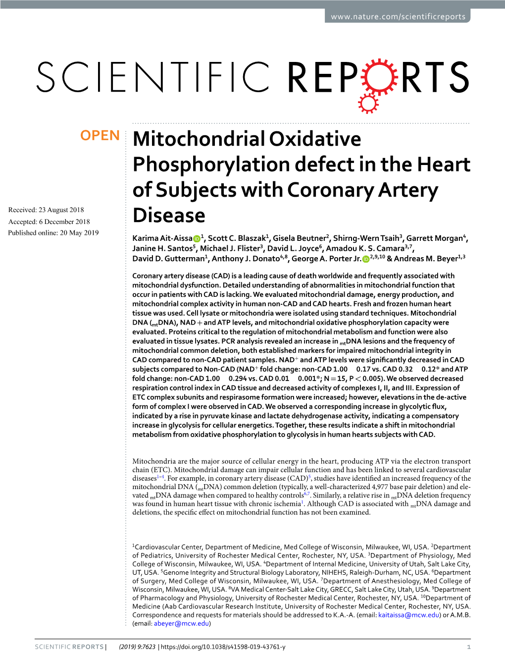 Mitochondrial Oxidative Phosphorylation Defect in the Heart