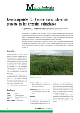 Leersia Oryzoides (L.) Swartz: Nueva Adventicia Presente En Los Arrozales Valencianos