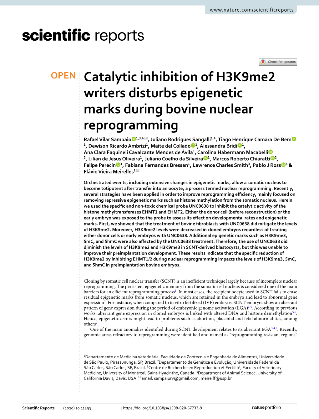 Catalytic Inhibition of H3k9me2 Writers Disturbs Epigenetic Marks