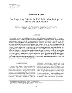 On Biogenicity Criteria for Endolithic Microborings on Early Earth and Beyond
