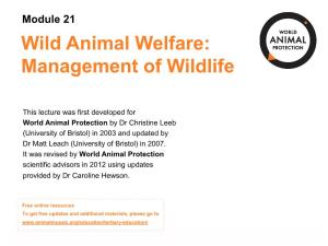 Wild Animal Welfare: Management of Wildlife