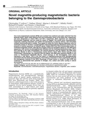 Novel Magnetite-Producing Magnetotactic Bacteria Belonging to the Gammaproteobacteria