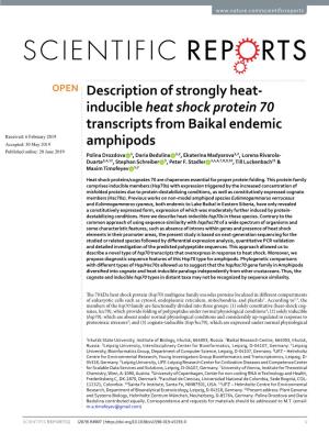 Description of Strongly Heat-Inducible Heat Shock Protein 70 Transcripts