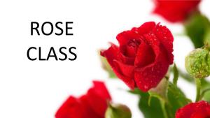 ROSE CLASS Roses