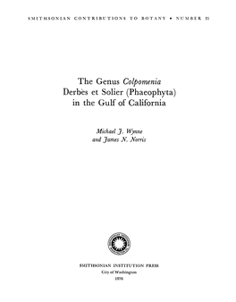 The Genus Colpomenia in the Gulf of California