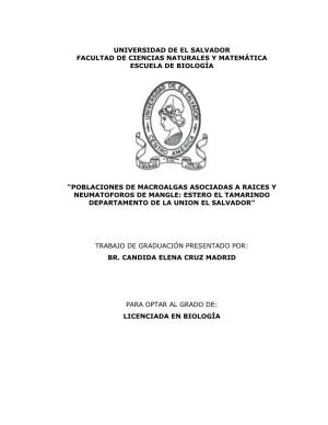 Poblaciones De Macroalgas Asociadas a Raices Y Neumatoforos De Mangle: Estero El Tamarindo Departamento De La Union El Salvador”