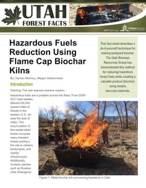 Hazardous Fuels Reduction Using Flame Cap Biochar Kilns