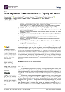 Iron Complexes of Flavonoids-Antioxidant Capacity and Beyond