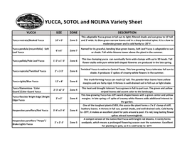 YUCCA, SOTOL and NOLINA Variety Sheet