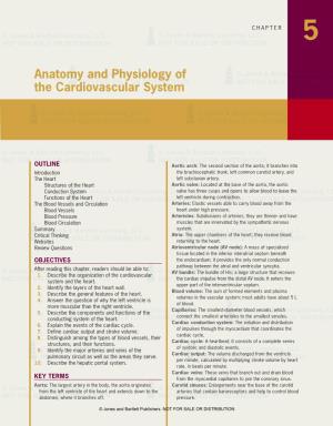 Anatomy and Physiology of the Cardiovascular System