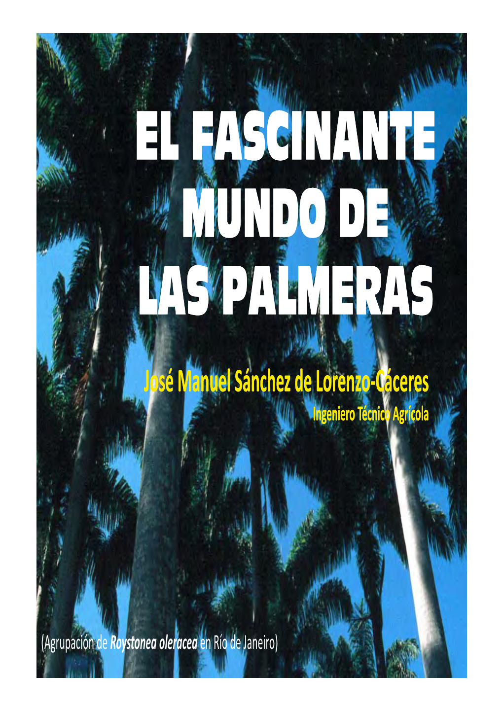 El Fascinante Mundo De Las Palmeras