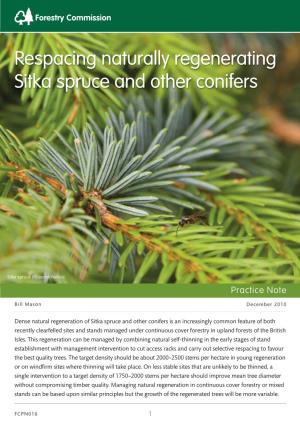 Respacing Naturally Regenerating Sitka Spruce and Other Conifers