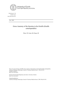 Gross Anatomy of the Intestine in the Giraffe (Giraffa Camelopardalis)