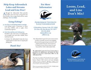 Loons, Lead, and Line Don't Mix!