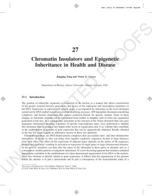Chromatin Insulators and Epigenetic Inheritance in Health and Disease