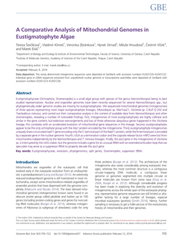 A Comparative Analysis of Mitochondrial Genomes in Eustigmatophyte Algae