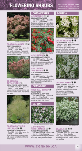 Flowering Shrubs