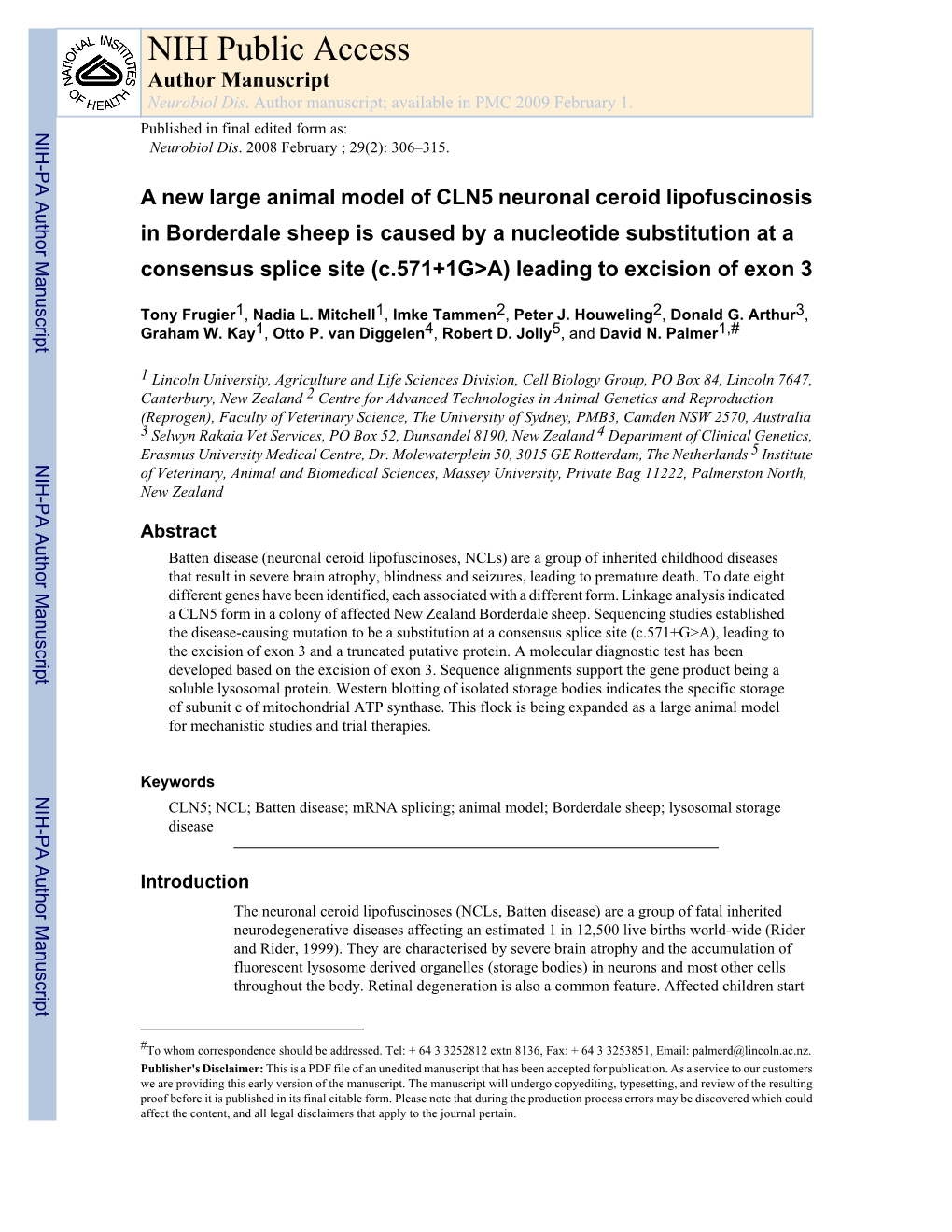 A New Large Animal Model of CLN5