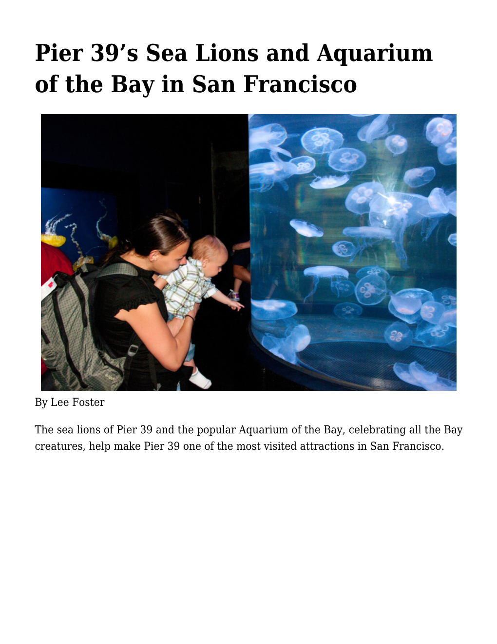 Pier 39'S Sea Lions and Aquarium of the Bay in San Francisco