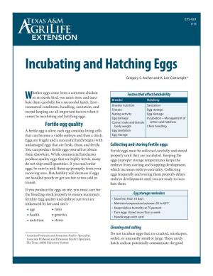 Incubating and Hatching Eggs