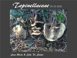Tapinellaceae 20-10-2020