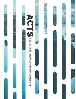 Acts 28 Day Guide